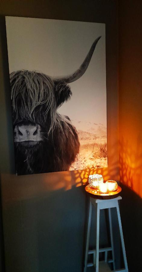 Secret Wellness Puur Natuur ホルテン エクステリア 写真