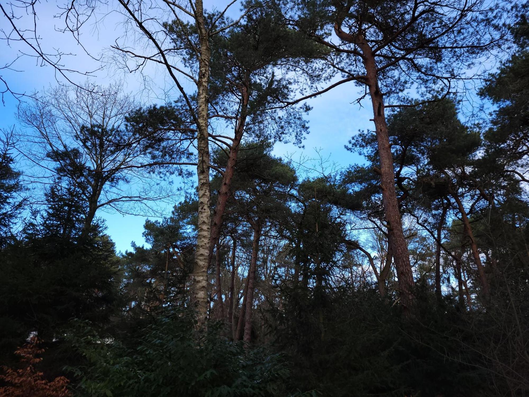 Secret Wellness Puur Natuur ホルテン エクステリア 写真